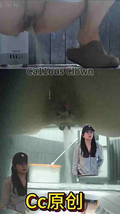 Asian toilet voyeur 2003